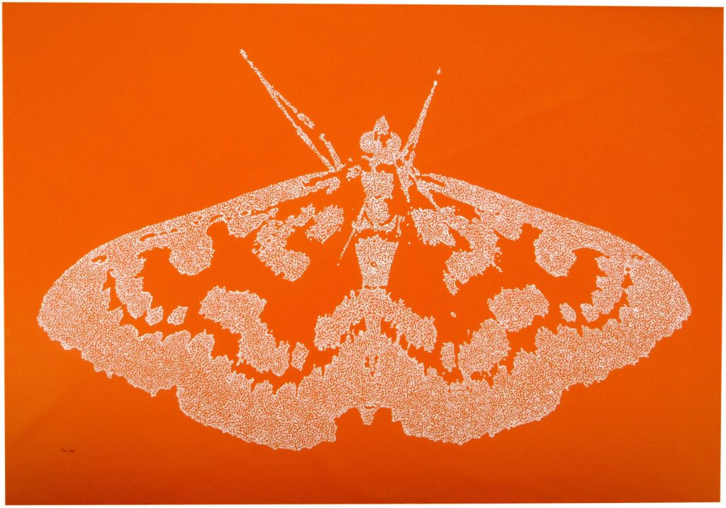 Dot and spot white painting of a moth on a very large orange canvas by Rich Gane