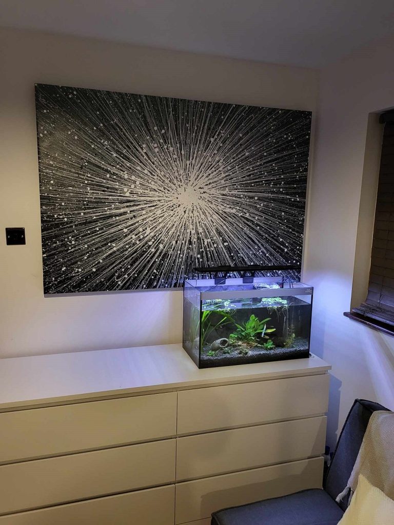 Customer showcase photo of my 160cm by 112cm original black and white star painting on display in his home